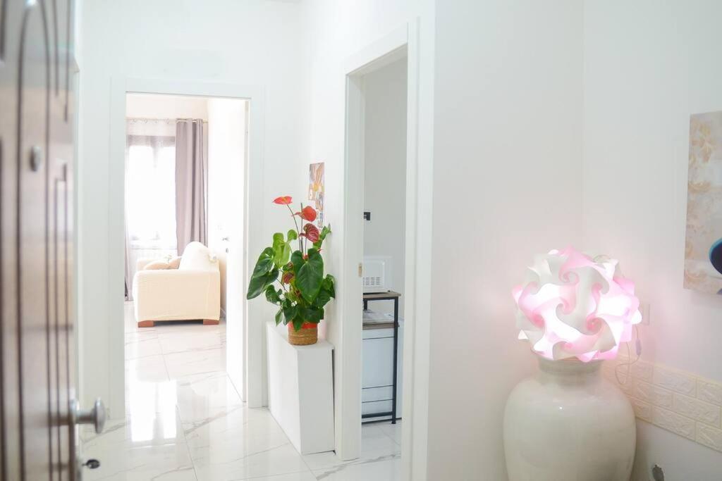 White Bike Rooms 시니스콜라 외부 사진